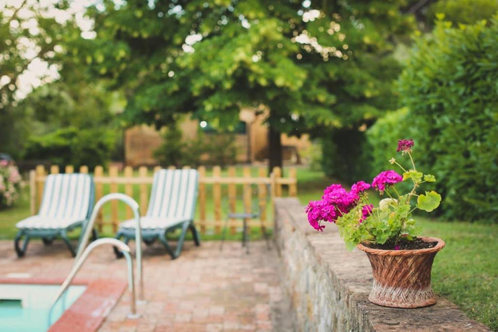 Villa Capannina Vico d'Arbia Экстерьер фото